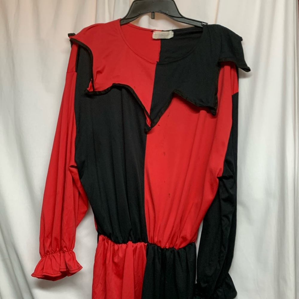 Jester costume. AR